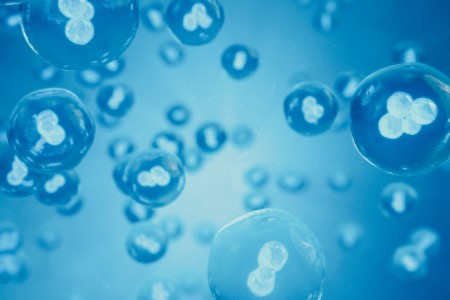 科学家发现可诊断和治疗类风湿性关节炎的新细胞