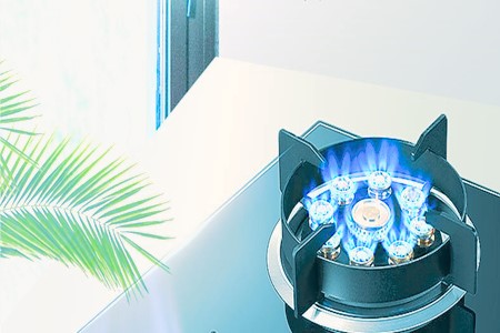 燃气供应|浙江宁波燃气供应公司转让项目 29%股权转让930210