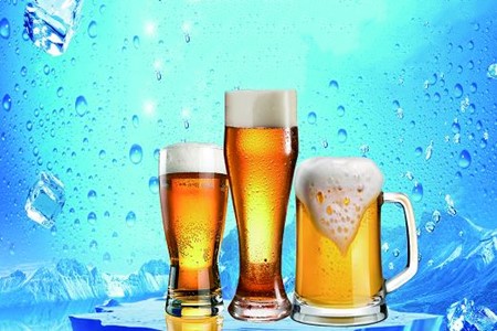 啤酒生产|广东啤酒生产公司转让项目 100%股权转让21SH-0515