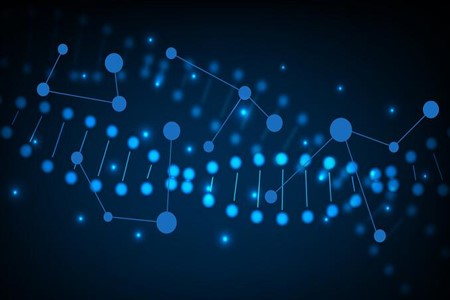 科学家利用DNA甲基化的波动实现高时间分辨率的人体组织细胞谱系追踪