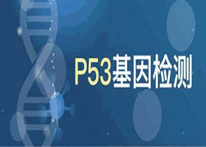 科学家发现ALOX12对p53依赖的肿瘤抑制至关重要