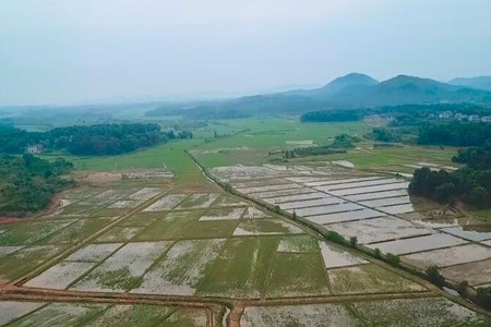 四川西昌：发展现代农业 让土地流金淌银