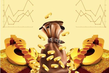 小额贷款|山东小额贷款公司转让项目 51%股权转让040606