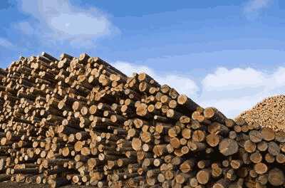 木材加工公司转让项目