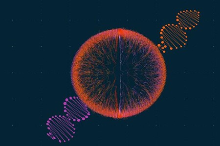 中国科学家首次解析神经母细胞瘤单细胞图