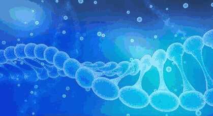 科学家发现p38γ对细胞周期进展和肝肿瘤发生的重要作用