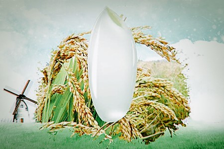 粮油加工|山东粮油加工公司转让项目 25%股权转让021227