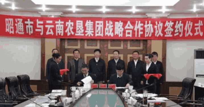 昭通市与云南农垦集团牵手合作 助推高原特色现代农业发展