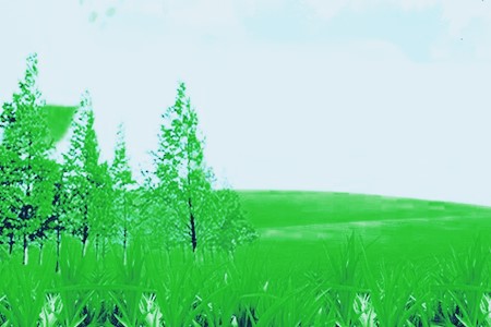 抓好就业也需要抓住能源环保产业 这样才更能长久发展