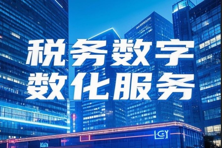 税务数字化服务|北京税务数字化服务公司转让项目 25%股权转让50QT-0922