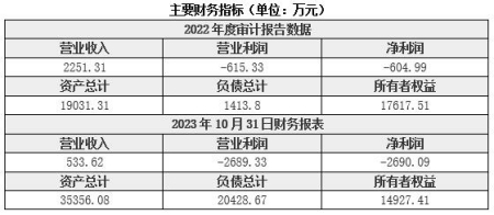 山东遥感卫星技术研发公司转让项目