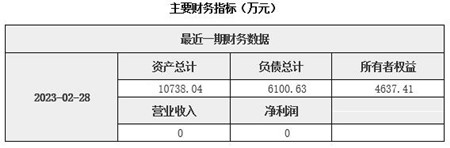 江苏新能源发展公司增资项目