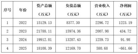 新疆喀什20MW光伏发电公司转让项目