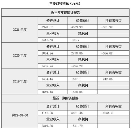 北京电力供应公司增资项目