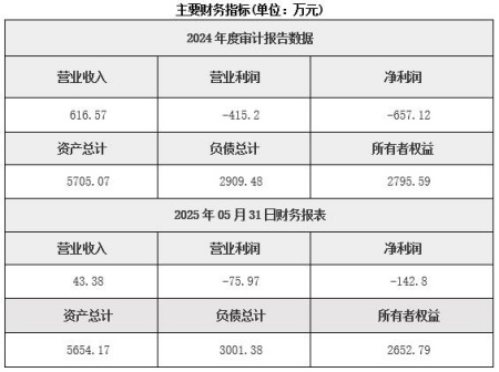 湖南有色金属矿采选公司转让项目