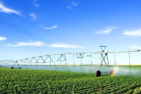 广西兴安：聚力农业“三化” 加快传统农业向现代农业转型