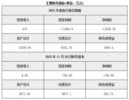 云南有色金属矿采选公司转让项目