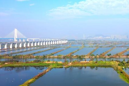 水产养殖技术服务|北京水产养殖技术服务公司转让项目 61%股权转让11A12-0459