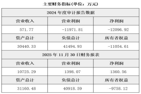 广西生物质发电与供热公司转让项目
