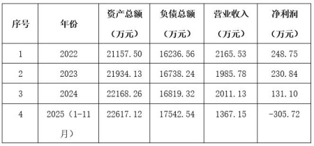 新疆库尔勒20MW光伏发电公司转让项目