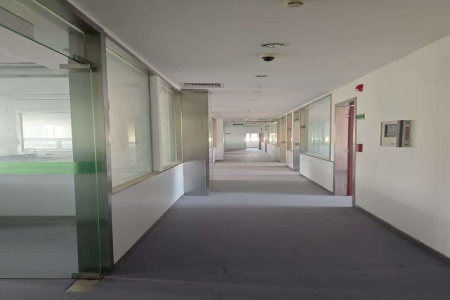 独栋办公楼|湖北武汉东湖高新区3400㎡独栋办公楼转让项目50QT-1035