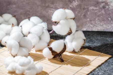 河南棉纺织品贸易公司转让项目
