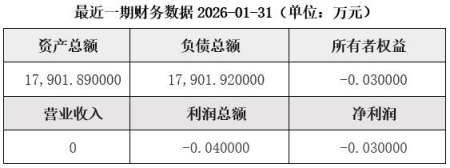 湖北武汉房地产开发公司增资项目
