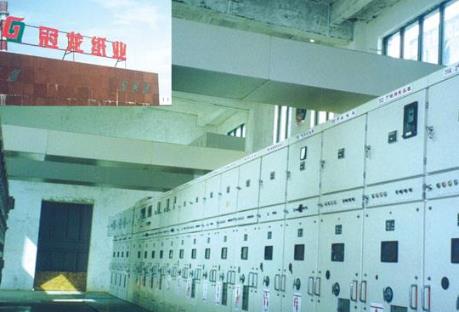 湛江冠龙纸业有限公司100%股权 1.68亿元