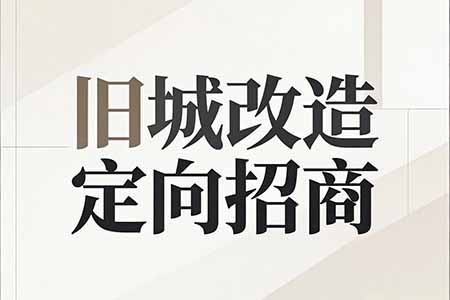 深圳市赛普电镀设备有限公司100%股权项目 --围绕旧城改造定向招商
