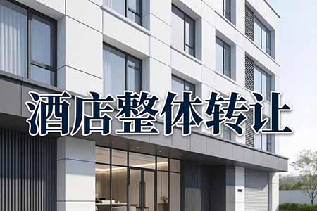 深圳维景酒店整体转让--酒店类地产项目案例