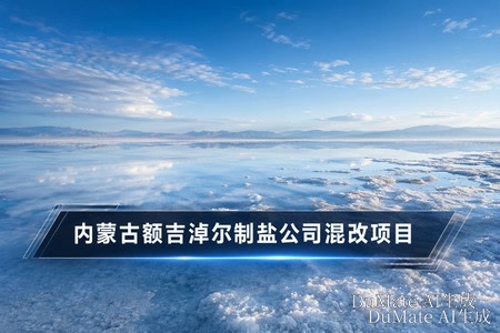 内蒙古额吉淖尔制盐公司混改项目