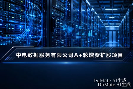 中电数据服务有限公司A+轮增资扩股项目